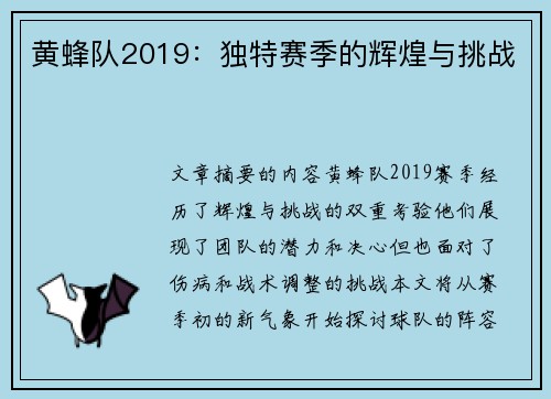 黄蜂队2019：独特赛季的辉煌与挑战